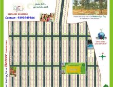 Nature Green Money – Farm plots with Plants near Hyderabad.