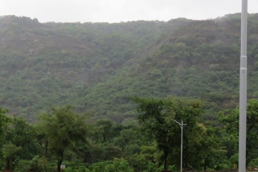 16 Acre Land for Sale in Tamhini near Mulshi