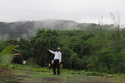 16 Acre Land for Sale in Tamhini near Mulshi