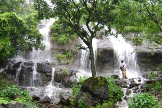 Girivan – Developed farm house plots near Hinjewadi Pune.