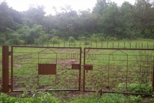 Girivan – Developed farm house plots near Hinjewadi Pune.