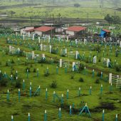 SS Green County Phase 1 | Collector NA Plots near PunePlots On