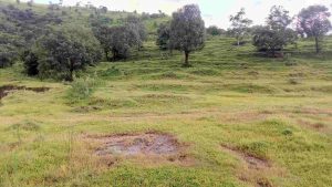 Agriculture Land for sale near Sinhgad fort Pune.