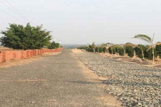 Organic Village Farm  | Farm plots for sale near Purandar airport Pune