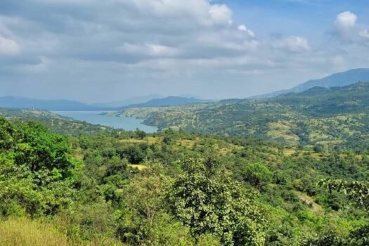 Farm house plots near Bhor