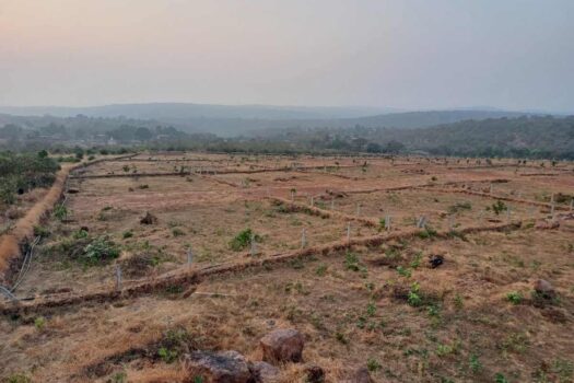NA plots for sale in Dapoli