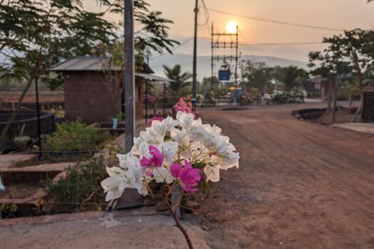 NA plots for sale in Dapoli