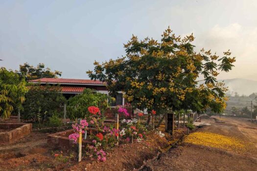 NA plots for sale in Dapoli