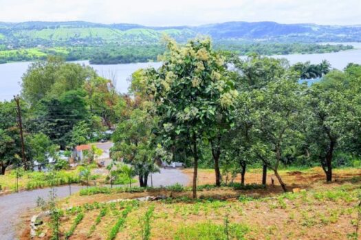 Lake Forest | Lake view plots near Khadakwasla Pune.