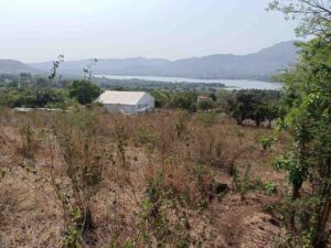 Water view Agriculture Land on Lease Near Khadakwasla Pune