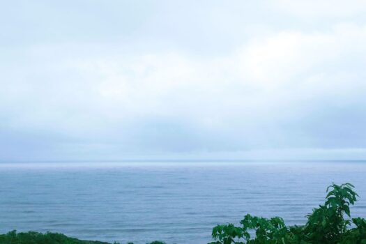 Shrivega | Sea facing Villas for Sale in Shrivardhan Konkan