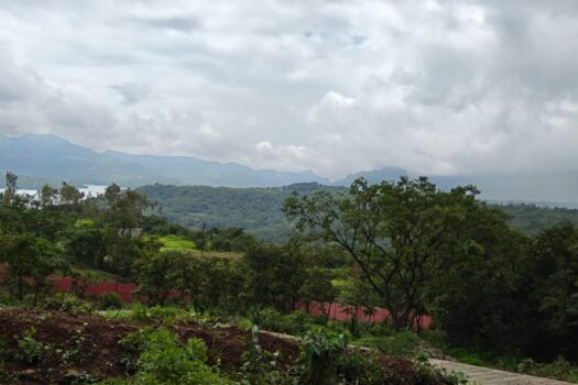 Malhar | Premium Farmhouse Plots in Mulshi near Hinjewadi Pune