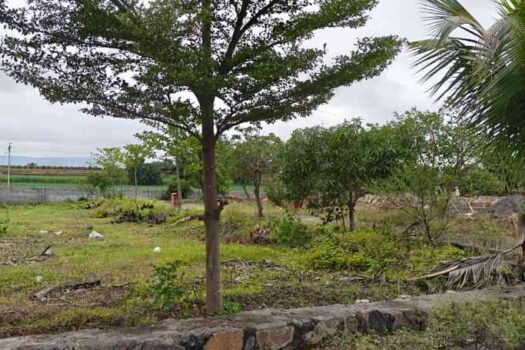 Kuber Shrushti | Bungalow plots near Kesnand Wagholi
