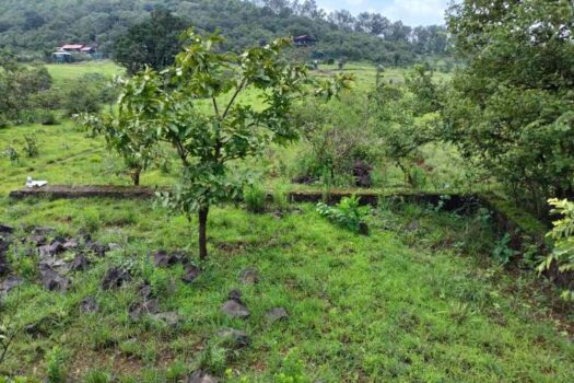 1 Acre Farm House Plot For Sale in Mantra Resort Bhor.