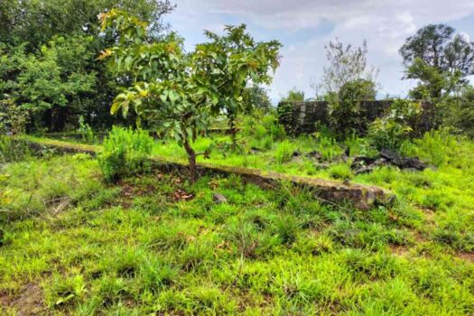 1 Acre Farm House Plot For Sale in Mantra Resort Bhor.