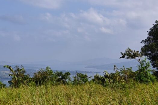 1 Acre Farm House Plot For Sale in Mantra Resort Bhor .