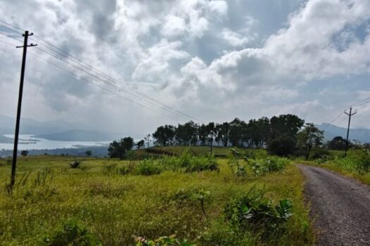 1 Acre Farm House Plot For Sale in Mantra Resort Bhor.