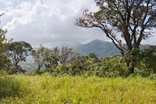 1 Acre Farm House Plot For Sale in Mantra Resort Bhor.