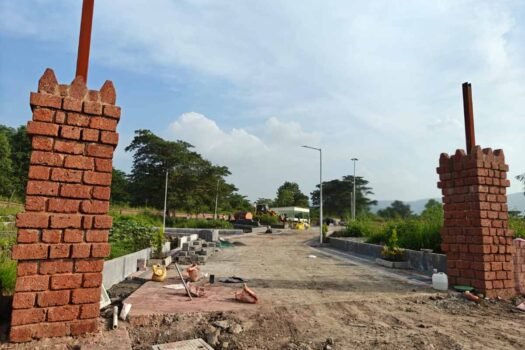 Wild Flower | Na plots in Mulshi Pune.