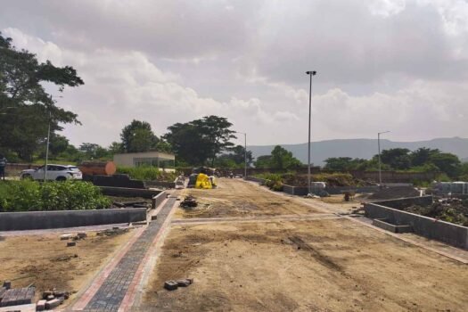 Wild Flower | Na plots in Mulshi Pune.