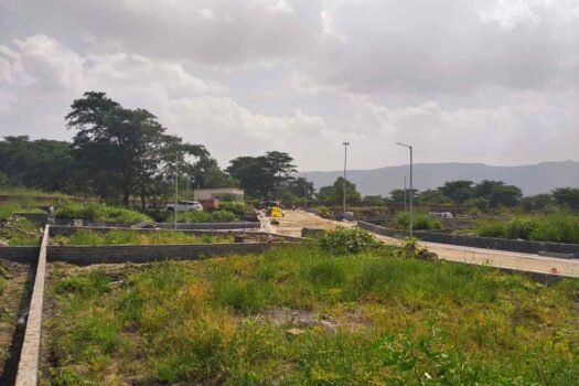 Wild Flower | Na plots in Mulshi Pune.