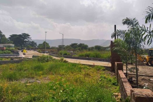 Wild Flower | Na plots in Mulshi Pune.