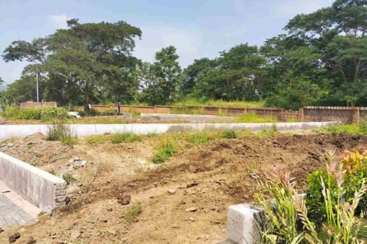 Wild Flower | Na plots in Mulshi Pune.