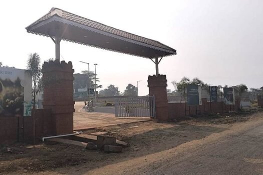 Wild Flower | Na plots in Paud Mulshi.