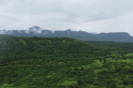 Joy Villa | Premium Na plots on Khopoli Pali Highway near Imagica.