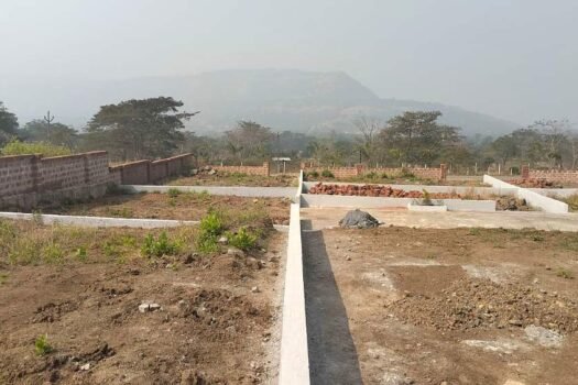 Wild Flower | Na plots in Paud Mulshi.