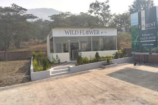 Wild Flower | Na plots in Paud Mulshi.