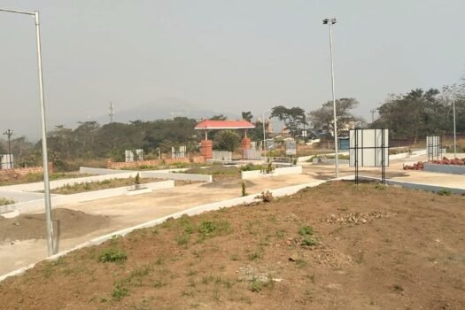 Wild Flower | Na plots in Paud Mulshi.