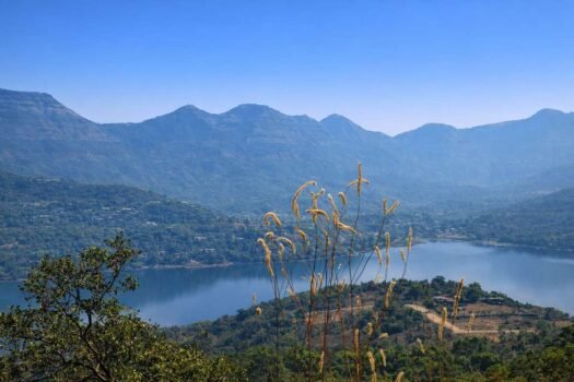 Lake View Farmhouse Plots