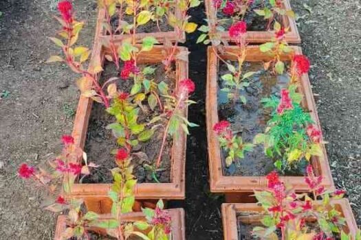 India House | A Gated Cultural Residential Commune near Ranjangaon MIDC