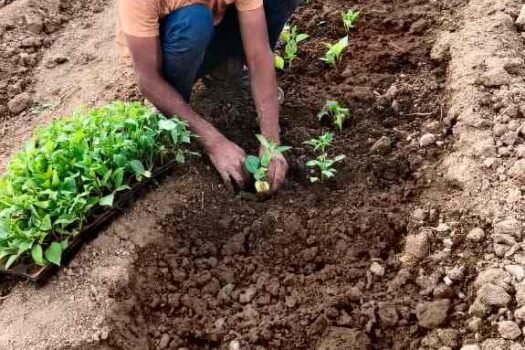 India House | A Gated Cultural Residential Commune near Ranjangaon MIDC