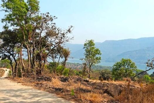 Mulshi Diaries | Lake View Farm Plots in Mulshi Pune.