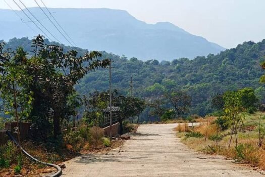 Mulshi Diaries | Lake View Farm Plots in Mulshi Pune.