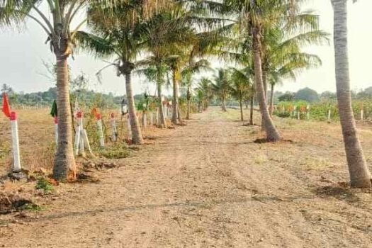 India House | A Gated Cultural Residential Commune near Ranjangaon MIDC