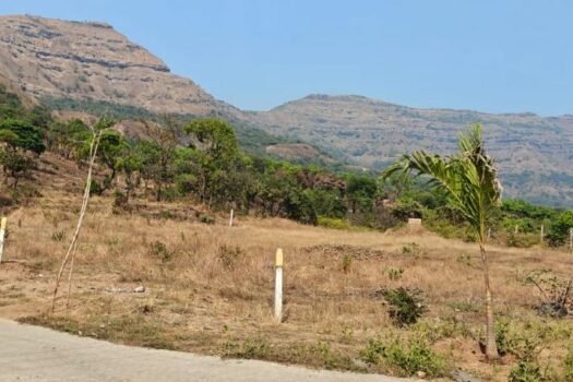 Mulshi Diaries | Lake View Farm Plots in Mulshi Pune.