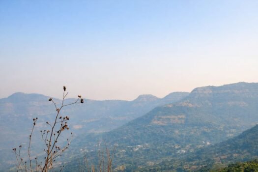 Mulshi Diaries | Lake View Farm Plots in Mulshi Pune.