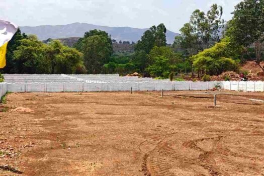 Wadeshwar Vrundavan | Na plots in Bhor Pune.