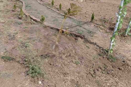 Dream Land Park | Residential Na plots in Wai
