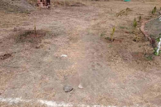 Dream Land Park | Residential Na plots in Wai