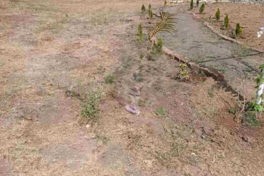 Dream Land Park | Residential Na plots in Wai