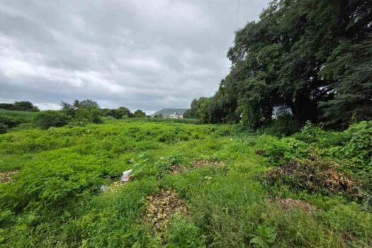 Commercial Property | Prime Residential NA Land for sale in Wai.