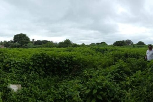 Commercial Property | Prime Residential NA Land for sale in Wai.